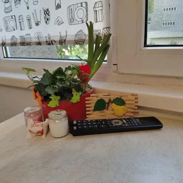 MGI studio CORESI & parking, hotell sihtkohas Braşov