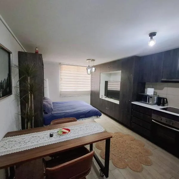 Departamento estudio frente al Parque Ohiggins y Movistar Arena, hotel en Santiago