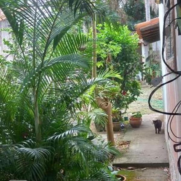 Las Lobas Guest House - Só para Mulheres - Foto 5