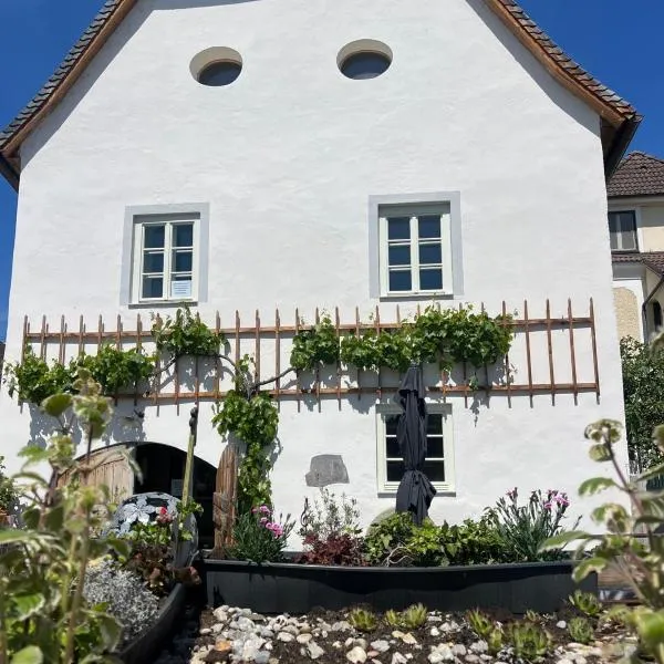 DAS Donauhaus, hotel v destinácii Emmersdorf an der Donau