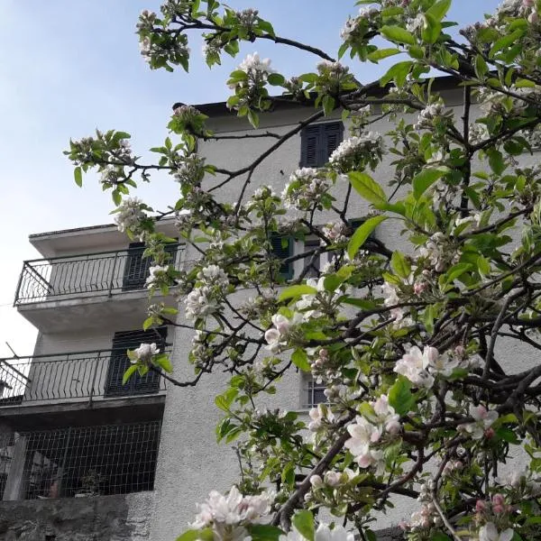 Casa Merei, hotell sihtkohas Casa Poragine