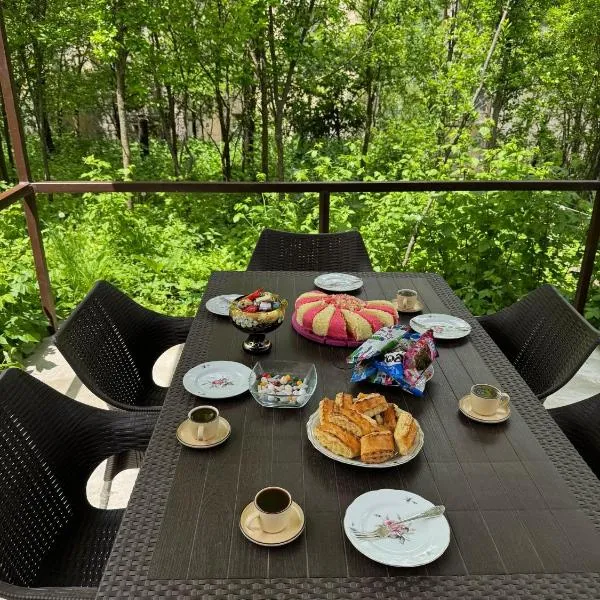 Дом на улице Овсепяна 7, hotel v destinaci Dilidžan
