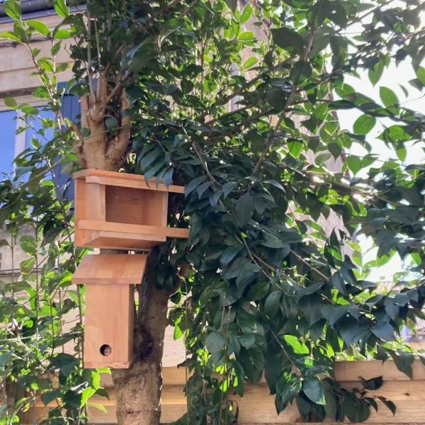 Chambre dans un appartement avec jardin, hotel v destinaci Bordeaux
