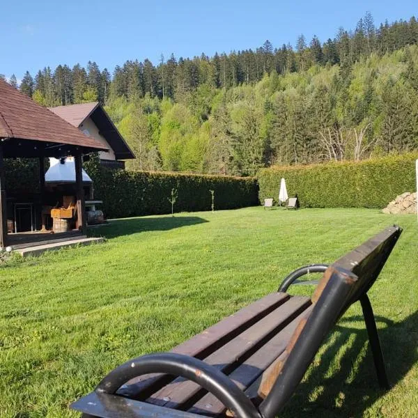 Forest View Cottage, hotel in Voroneţ