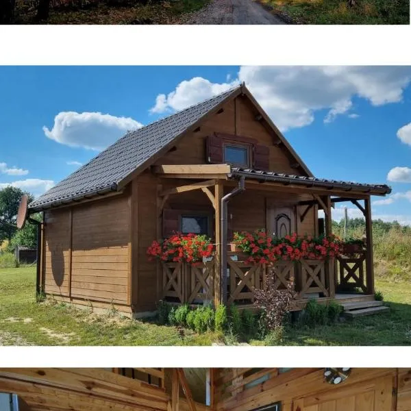 Domek Triftberg, hotel v destinácii Chojna