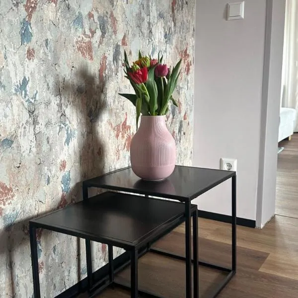 FeWo MaKi Schwarzwald Europa Park Rulantica Straßburg, hotel en Friesenheim