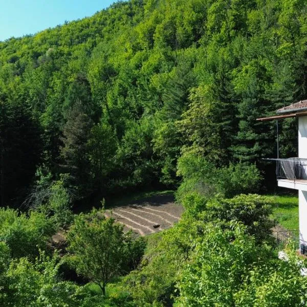 Casa Castagno e Ruscello - Nature Retreat in Liguria, hotel in Pieve di Teco