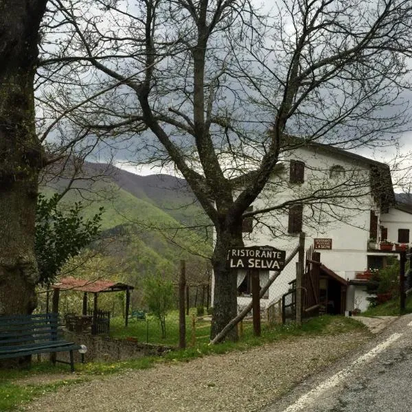 Albergo Ristorante La Selva, hotel a Molino del Pallone