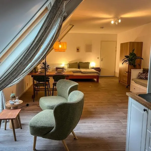 Studio lodge de Bosuil bij Bolmeer Lodges، فندق في Zevenhuizen