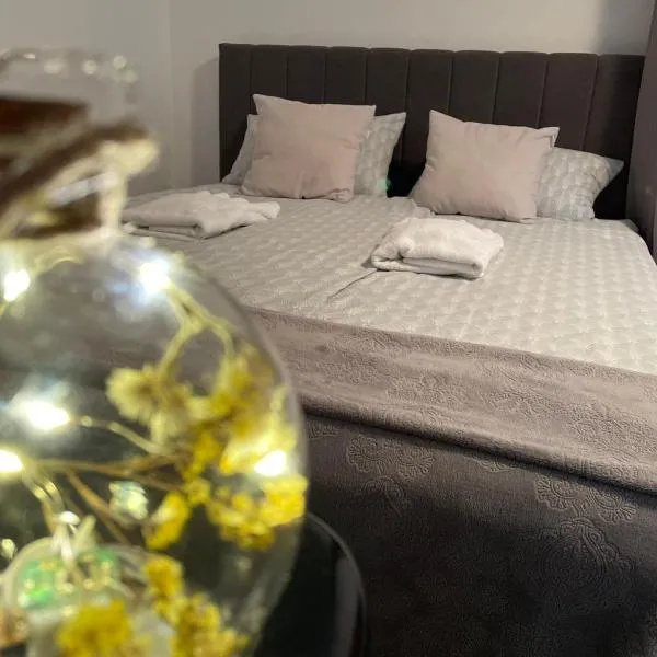 Apartment NakiT, hotel in Kanal