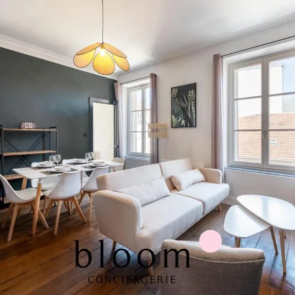 Appartement de standing le Drouin G, hotel en Nancy