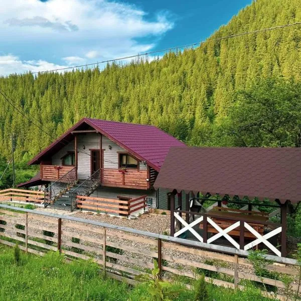 Котедж EmiLi HousE, hotel in Krivorovnya