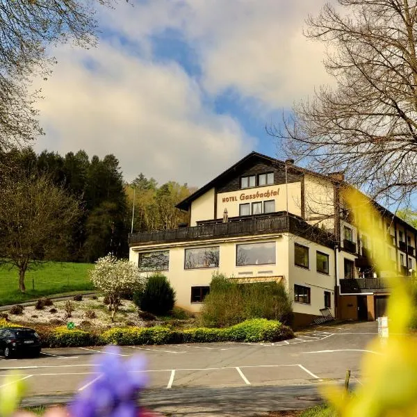 Natur & Wander Hotel Gassbachtal, hotel v destinaci Grasellenbach