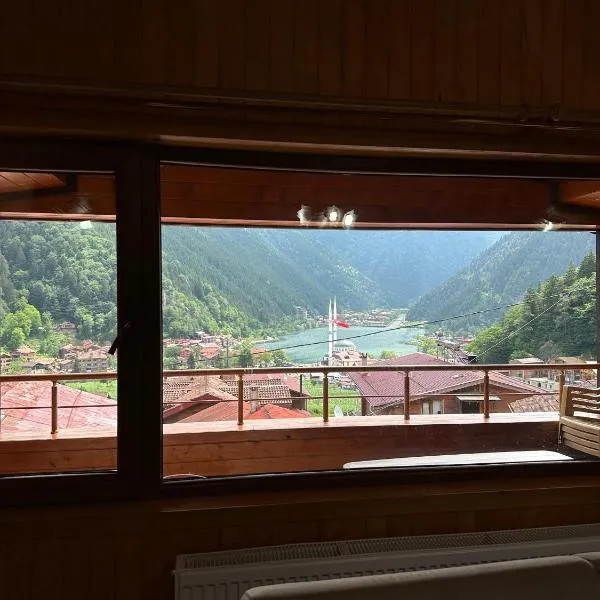 Ala Pansiyon, hotel v destinaci Çaykara
