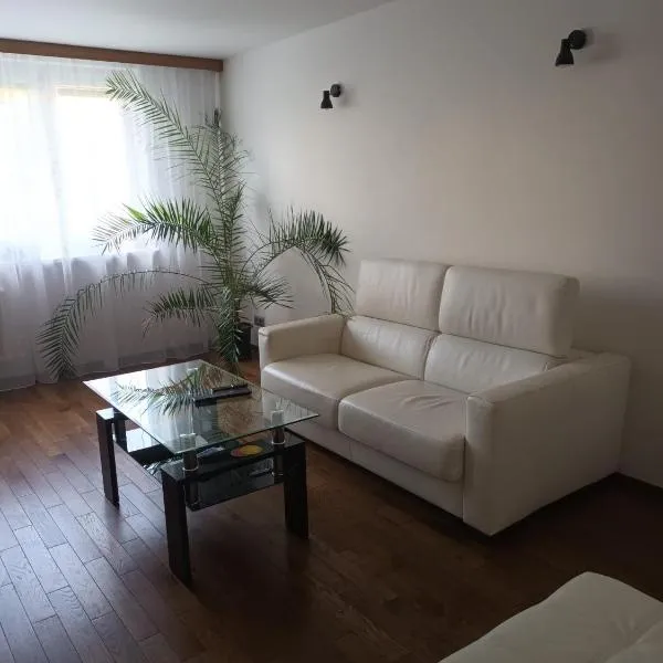 útulný byt v blízkosti centra, hotel v destinaci Černovice