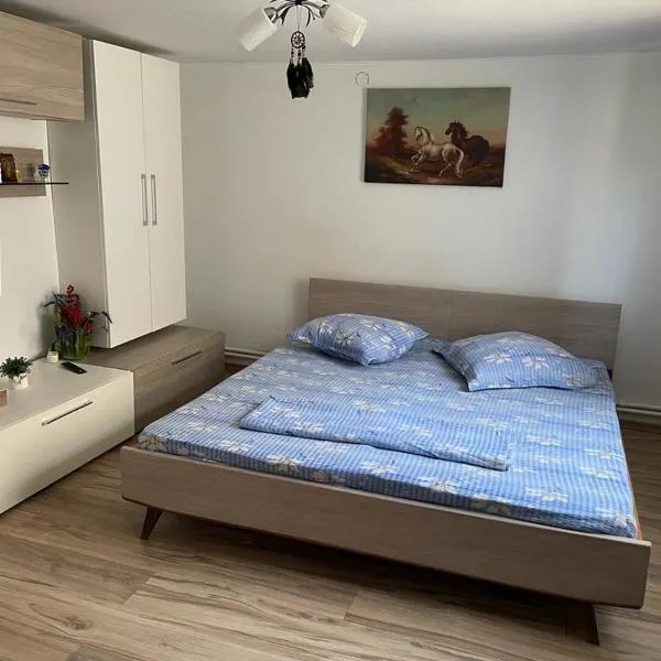 Căsuța Verde, hotel di 2 Mai