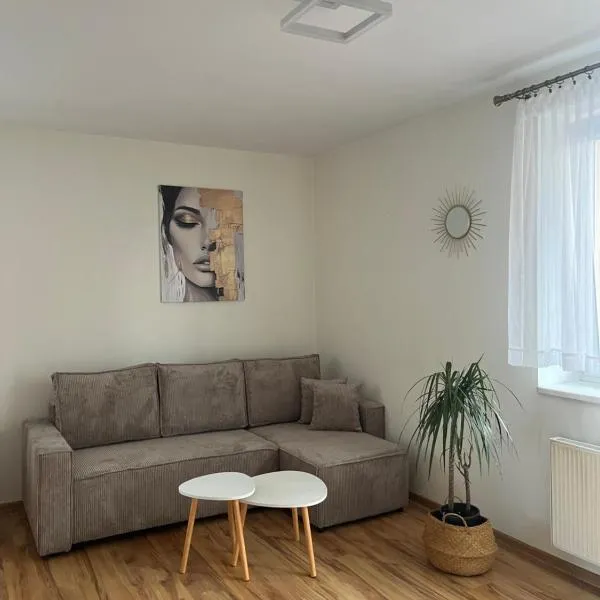 Przestronne mieszkanie, hotel v destinaci Lubawa