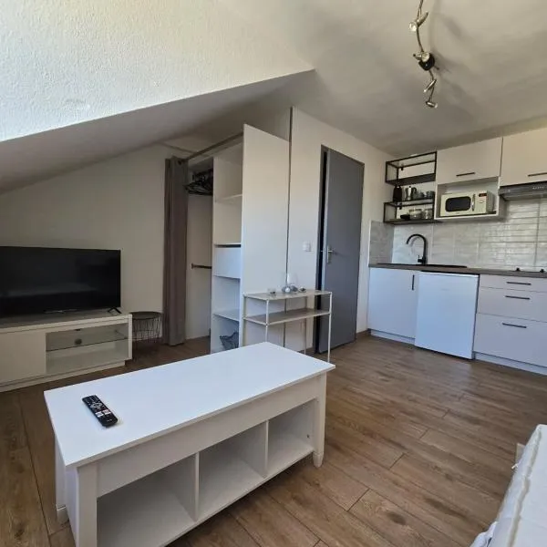Studio 3 Lumineux, hotel v destinaci Sarreguemines