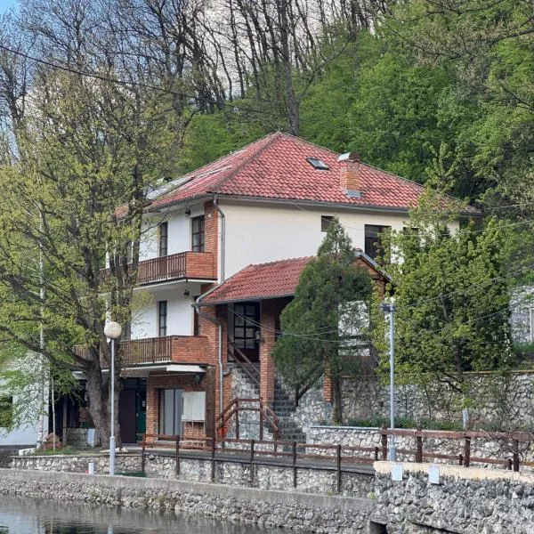 Lisine Ribnjak, hotel in Despotovac