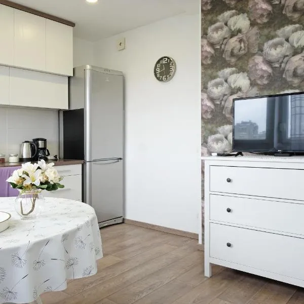 New Belgrade Roses Apartment, hotel in Belgrade