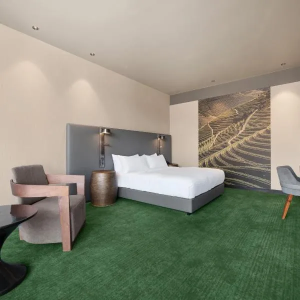 Hilton Porto Gaia, hotel v destinaci Vila Nova de Gaia