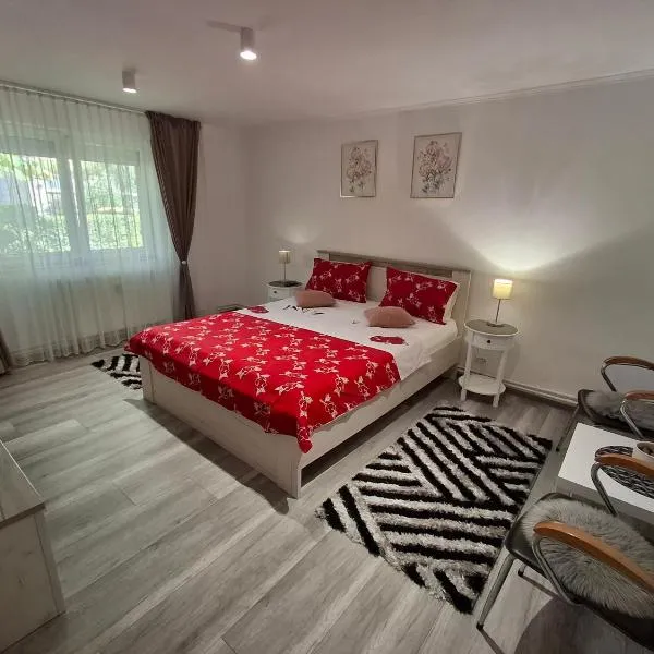 Apartament Claudia, khách sạn ở Deva