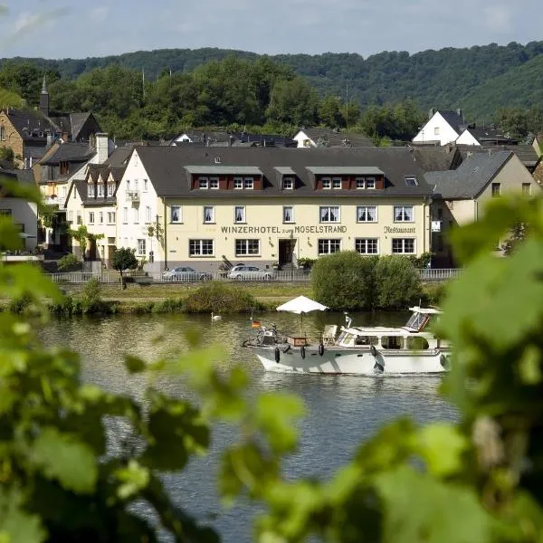 Hotel zum Moselstrand, hotel in Briedern
