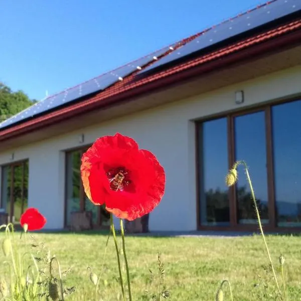 Las Góra Natura, hotel v destinácii Laskowa