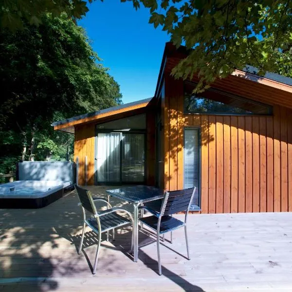 Highland Spa Lodge 1 Pets Welcome, hotel u gradu Birnam