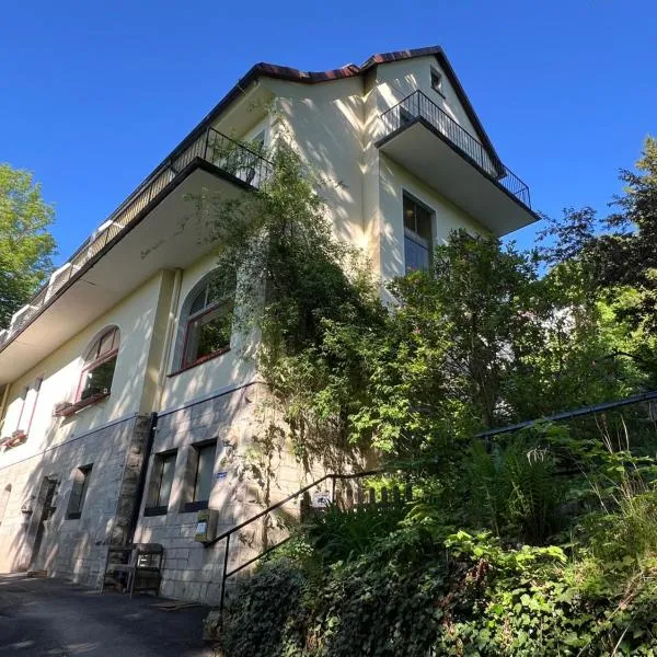 Pension Villa Pangea, hotel v destinaci Bad Lauterberg