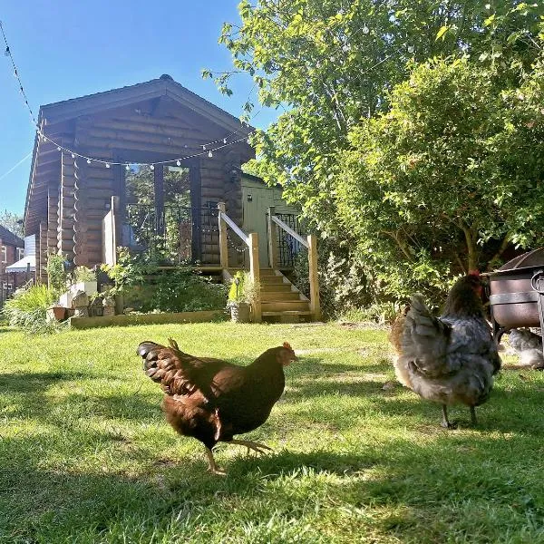 CABIN in hosts huge garden CHILD FRIENDLY with Hens Kittens firepit Marshmallows، فندق في Charing