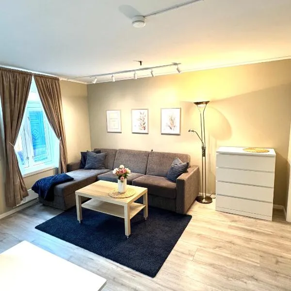 Stor attraktiv studioleilighet i sentrum, ξενοδοχείο στο Τρόντχαϊμ