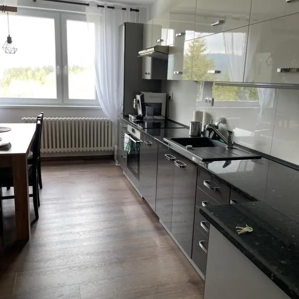 Apartmán Hojsova Stráž, hotel v destinaci Železná Ruda