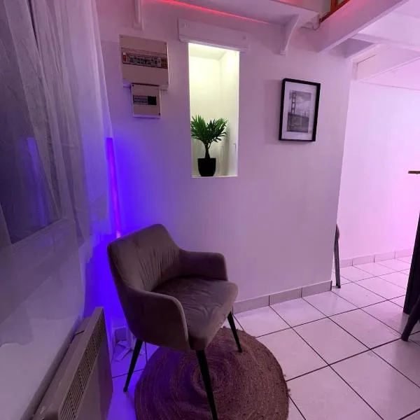 Le Duplex coeur de ville rue de bourgogne, hotel in Orléans