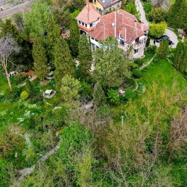 Villa Castelul Maria, hotel v destinaci Banpotoc