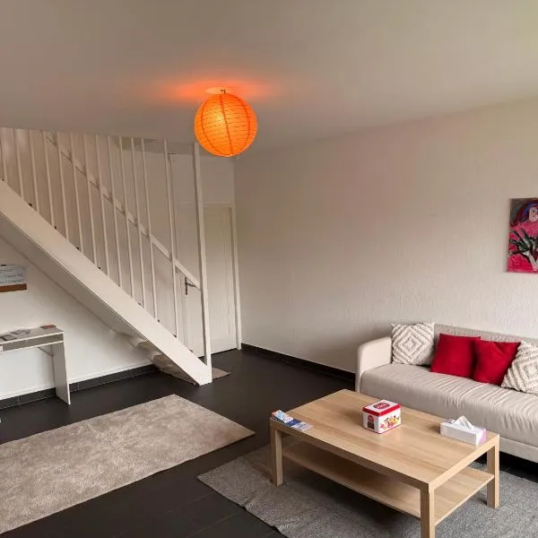 Spacious 3 bedroom duplex, Netflix, remote work, hotel in Geneva