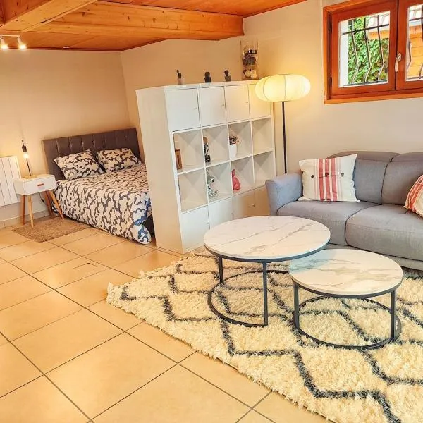 Studio Cosy au Cœur des Alpes, hotel v destinaci Arenthon