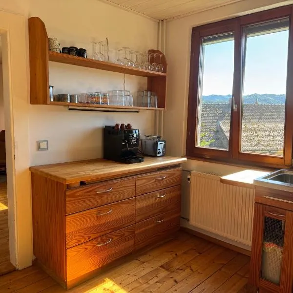 Romantic Gem at Black Forest - Cozy Historic Apartment - 30min to EuropaPark, hotel v destinácii Gengenbach