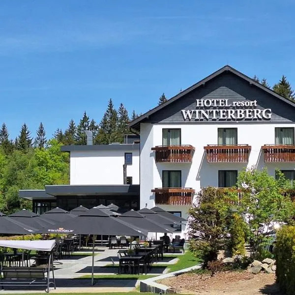 Hotel Winterberg Resort, hotel v destinaci Winterberg