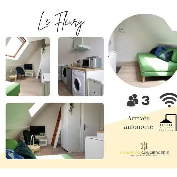 Le Fleury - Studio calme proche de Rouen, hotel in Déville-lès-Rouen