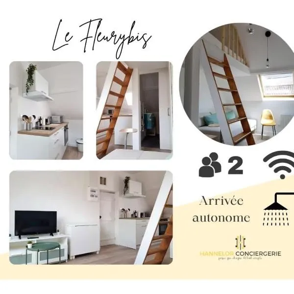 FleuryBis - Appartement calme proche de Rouen, hotel in Déville-lès-Rouen