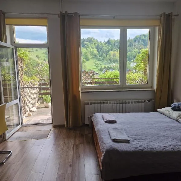 Apartament Tylas 2, ξενοδοχείο σε Jaworki