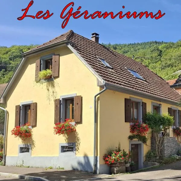 Maison Les Géraniums parking privé moto, hotel in Linthal