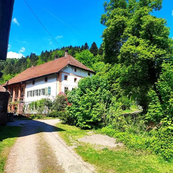 La Demeure des Forges, hotel in Grandfontaine