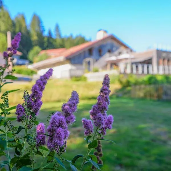 Auberge De La Poulcière – hotel w mieście Gérardmer