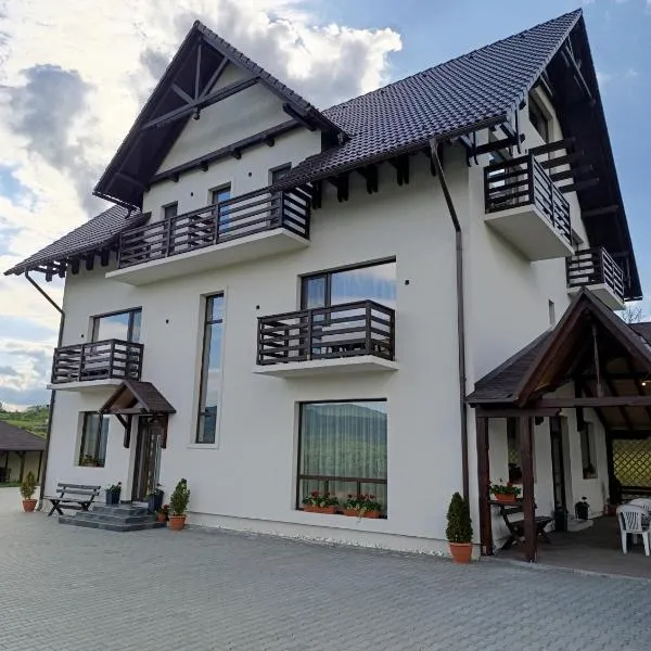 Vila President Sovata, hotel in Sovata