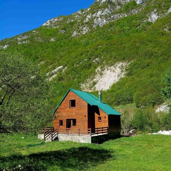 Vila Kraljica Planina, hotel v destinaci Šavnik