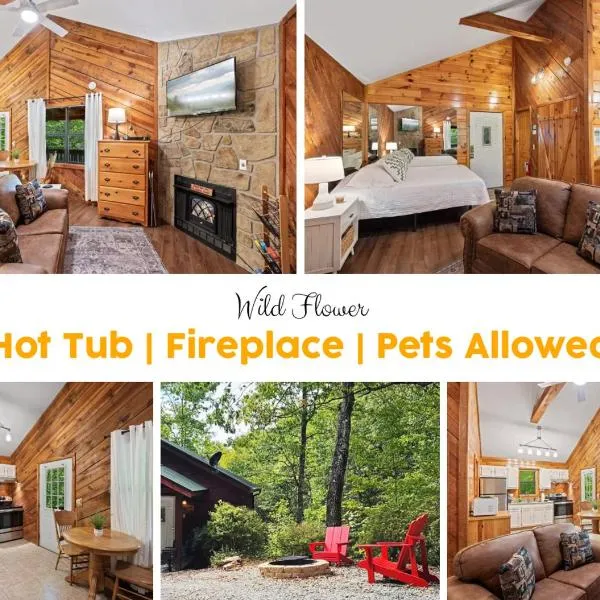 Pet-friendly Smoky Getaway With Hot Tub, hotel in Sevierville