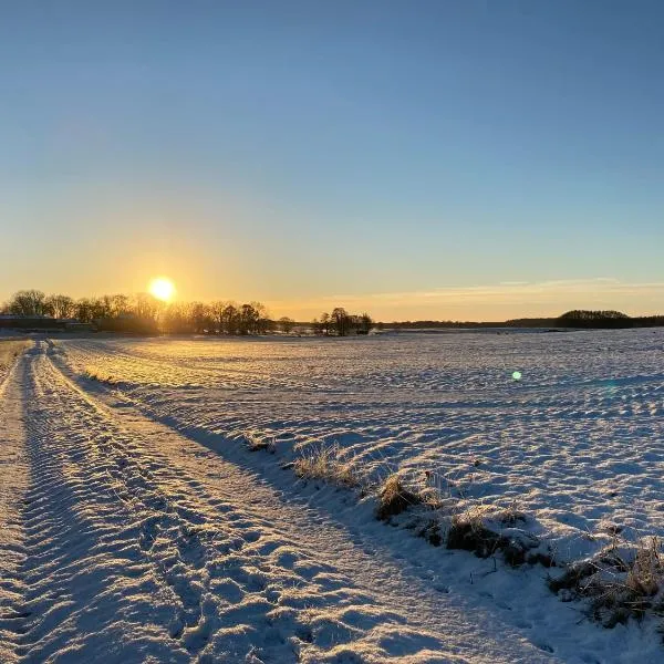 Bed and Breakfast, hotel 