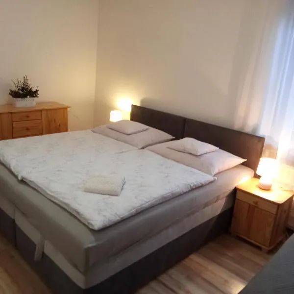 Ubytovanie Sklené Teplice, hotel v destinaci Sklené Teplice